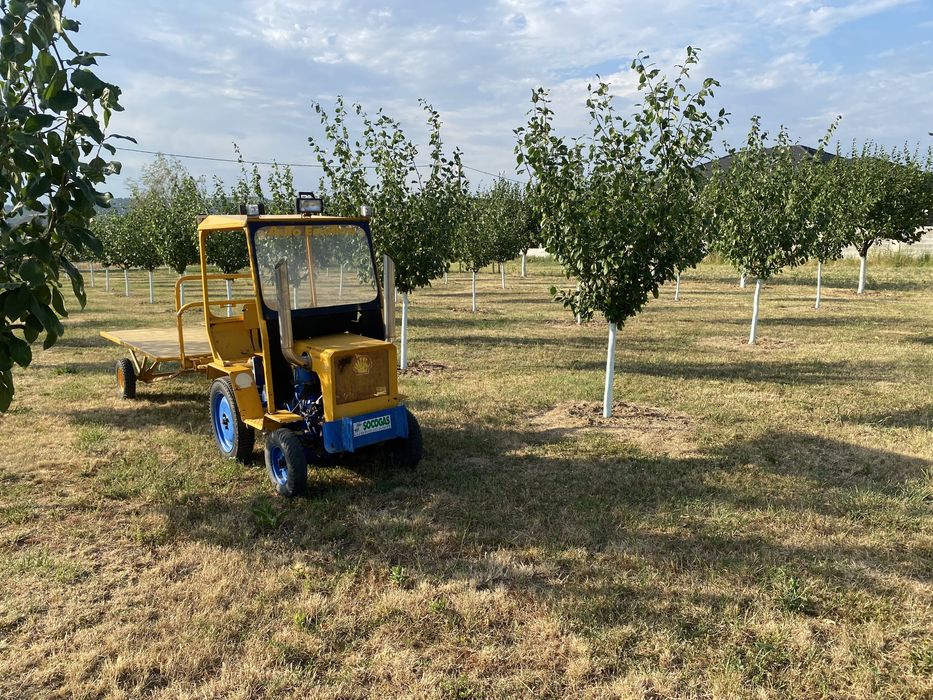 Tractor diesel 1 cilindru  4 viteze inversor pt livada gradini