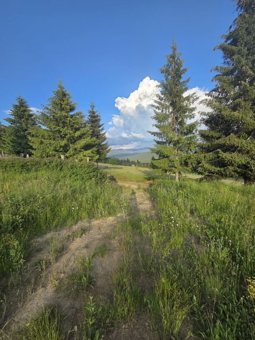 Teren Piatra Fantanele .