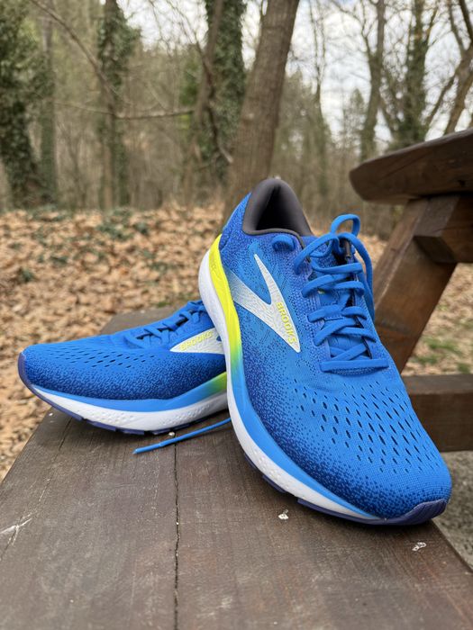 Brooks ghost 16
