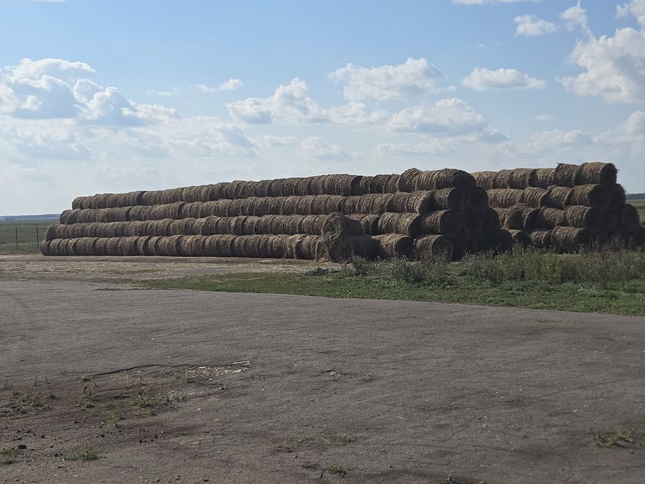 Продам сено в тюках