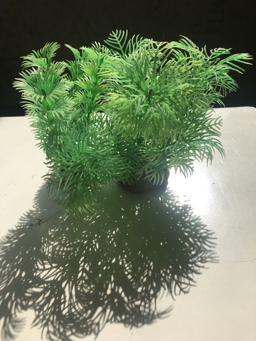 Травка для аквариума