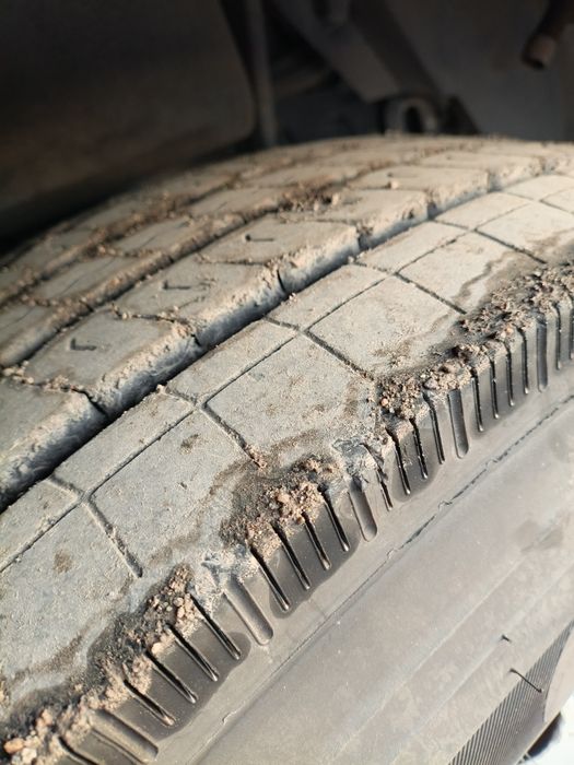 Man TGS oldi paddushka