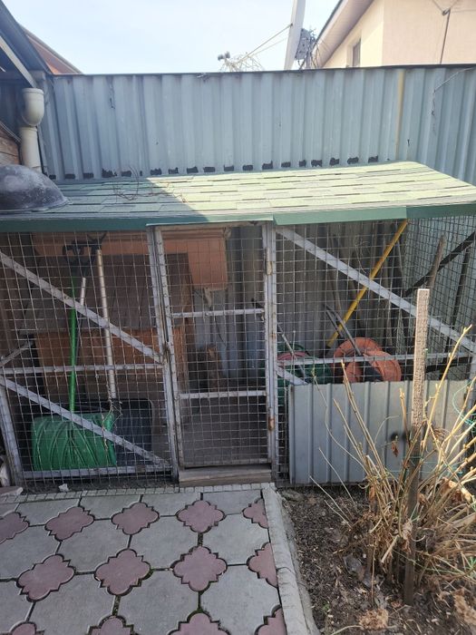 Вольер и будка для собаки