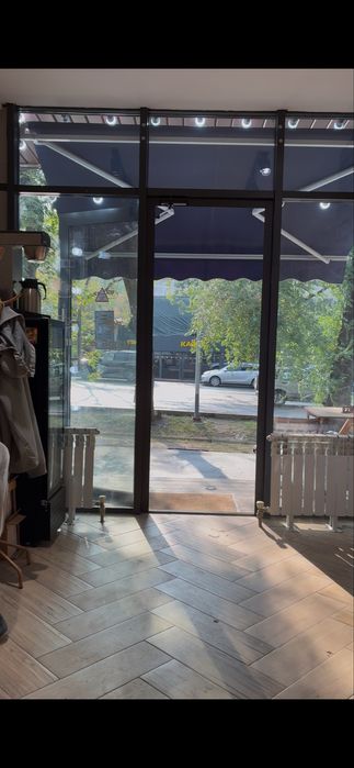 Маркиза выдвежная