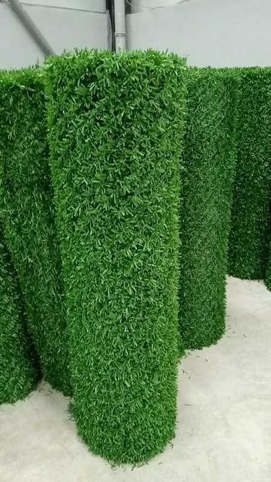 Декоративна мрежа Жив плет безплатно до офис на Еконт за 9.30 м2