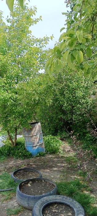 Продам дачу зимний вариант
