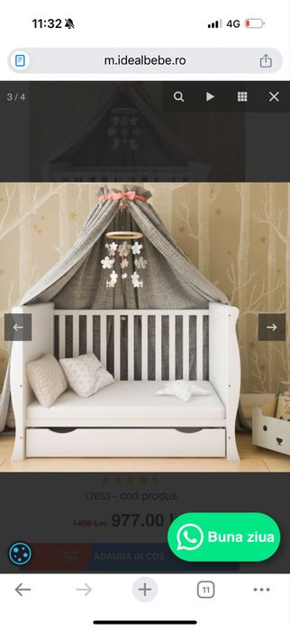 Patut regal mamo-tato