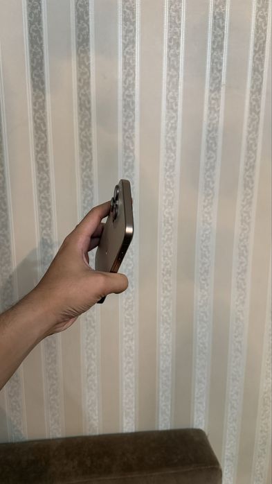 iPhone 16 Pro Max 256 GB sim