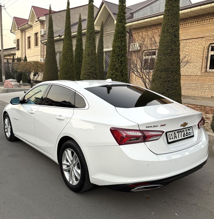 MALIBU-2 / 2.4 Rangi oq