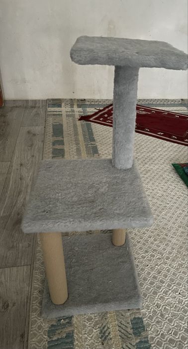 Для котенок и кот игровой