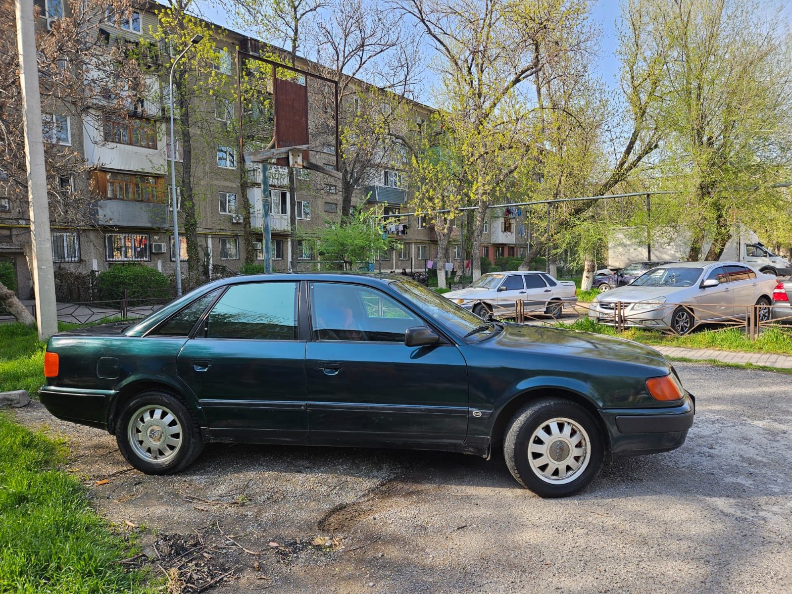 Audi S4 цена Шымкент: купить Ауди S4 бу. Продажа авто с фото на OLX Шымкент