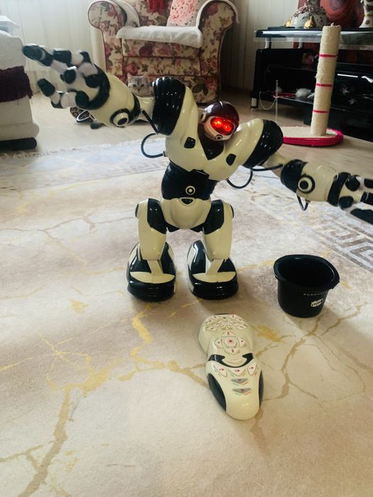 Робосапиен 8081 выполняет 67 команд