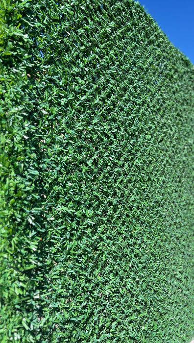 Оградна мрежа жив плет