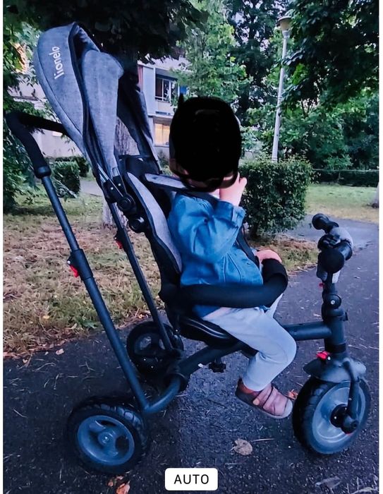 Tricicletă lionelo tris