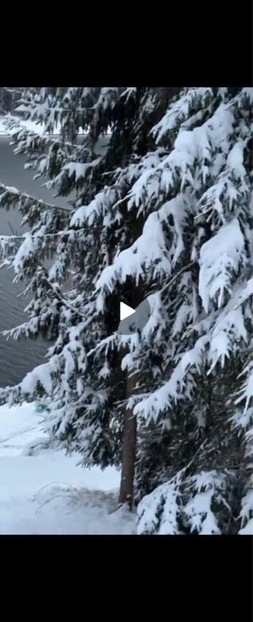 Teren Beliș cu iesire la lac + ponton+ căsuță mobilă+ curent electric