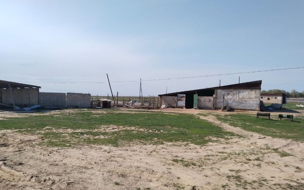 Фазенда продается недалеко от города Таразаз