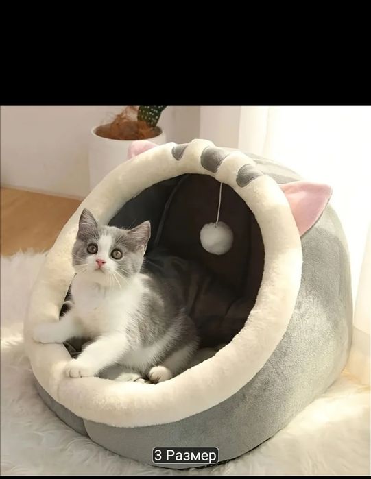 Лежанка для котят