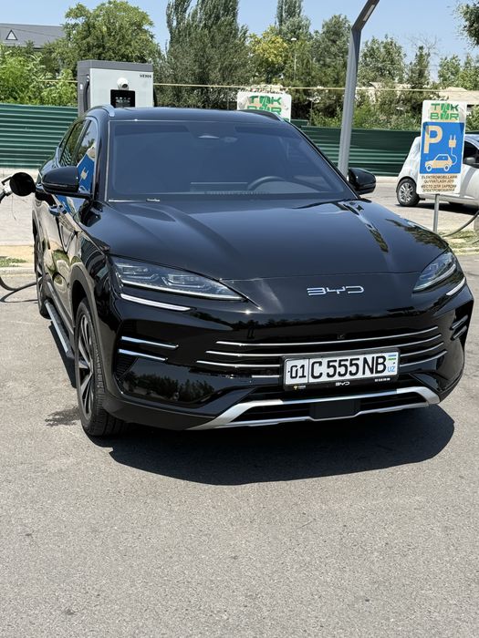 Byd chimpion 150 gibrid