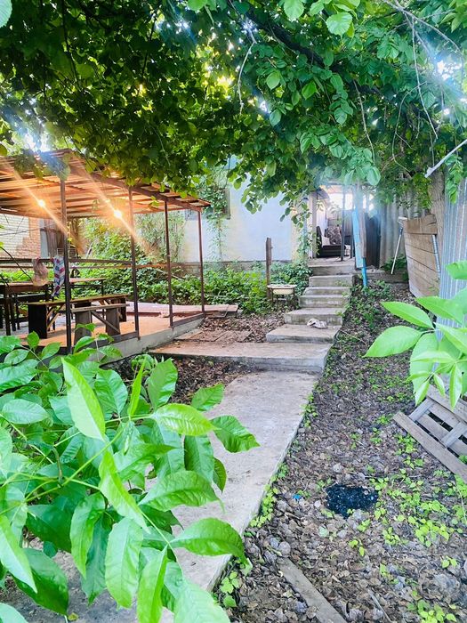 Продам дачу со своей береговой линией.