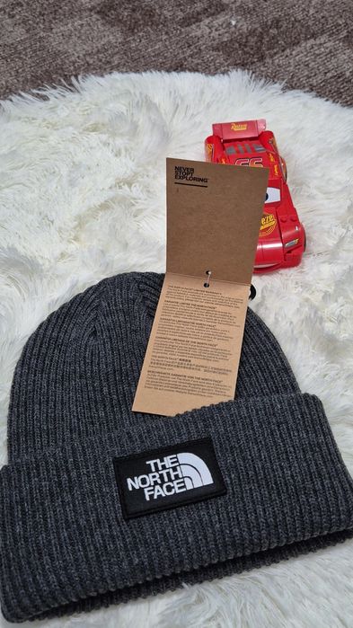 Caciula The North Face gri