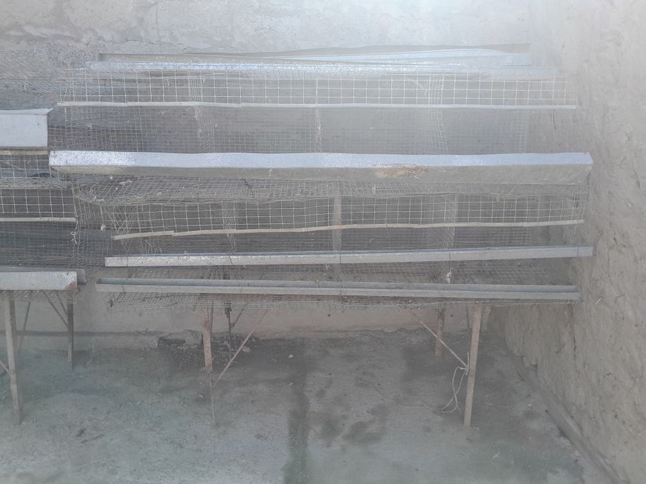 Setka tovuqlar uchun