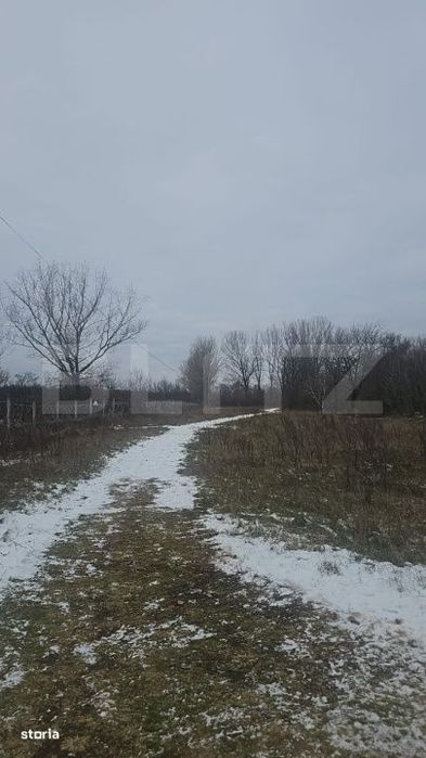 Teren intravilan, 447 mp, zona Priseaca