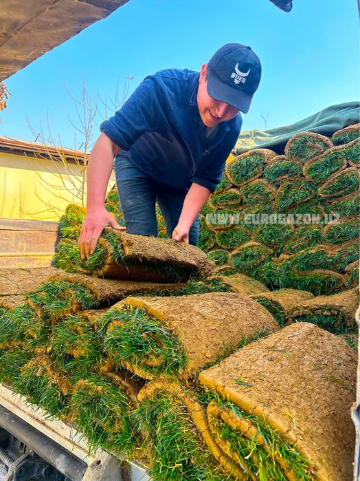 Рулонный газон доставку установка за один день