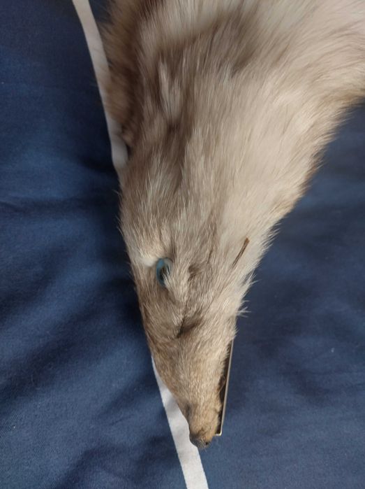 Шал от бяла лисица