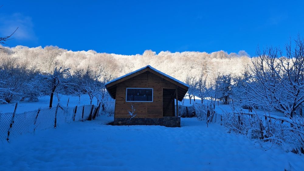 Апи Терапия с кошерен въздух