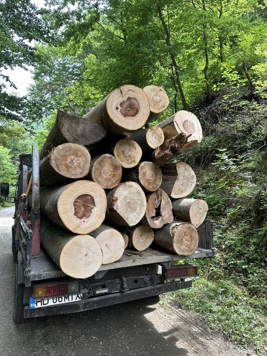 Lemn de foc trasport lemn