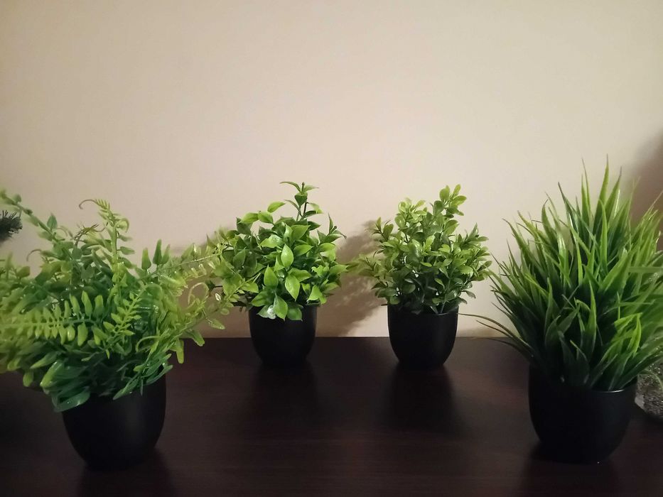 Комплект 4бр. растения