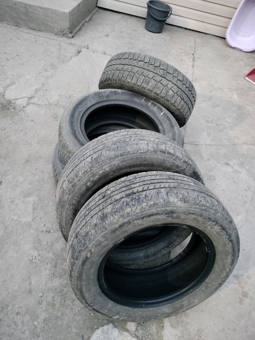 Шины для транспорта