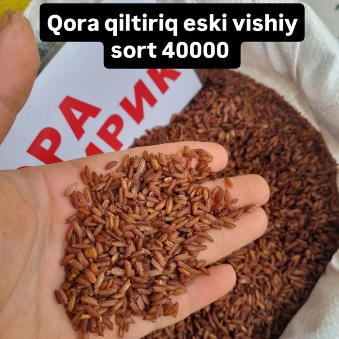 Istalgan hildagi guruch larni topib beramiz