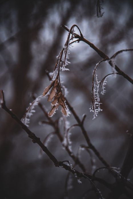 Фотоаппарат Canon 600d