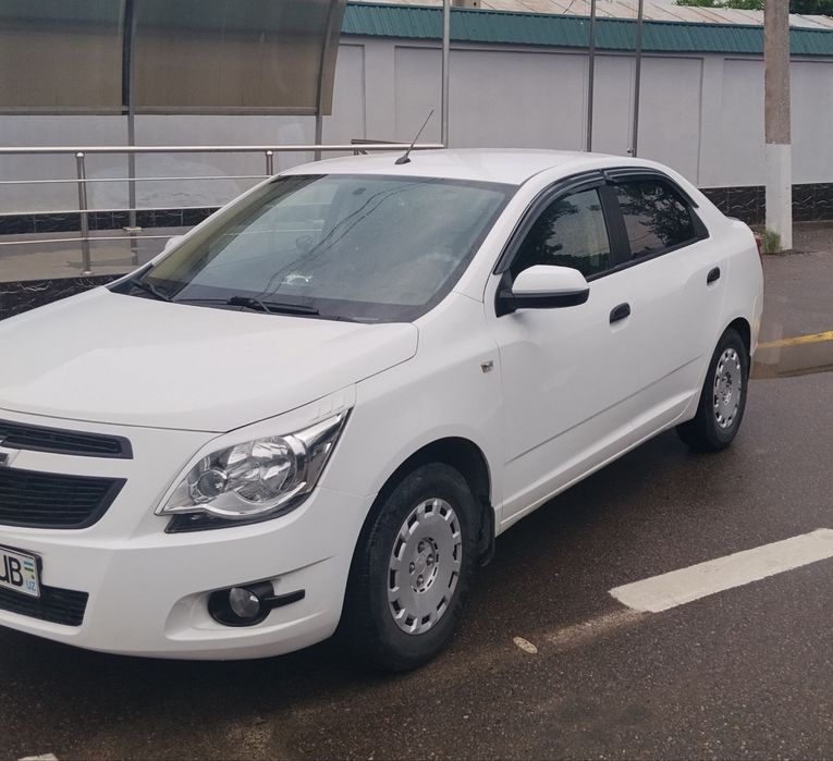 Cobalt 2019 mexanika ozimniki