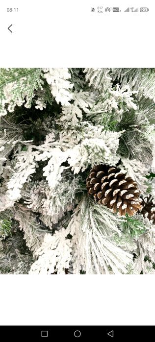 Archa turli razmerda 180sm, 150sm