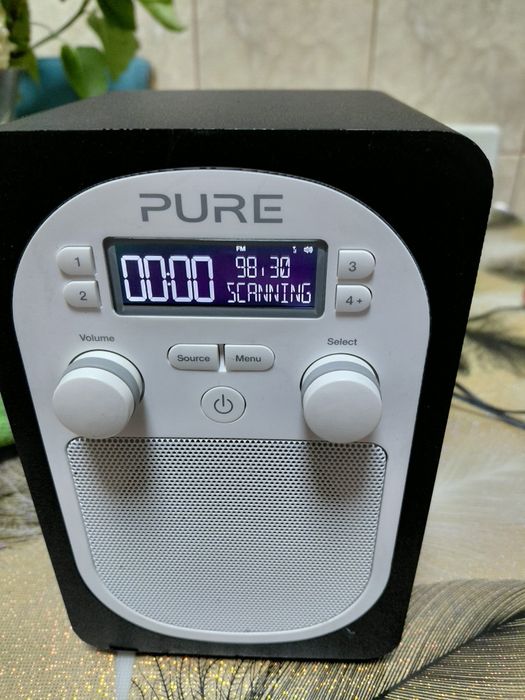 Vind radio Pure evoke d1