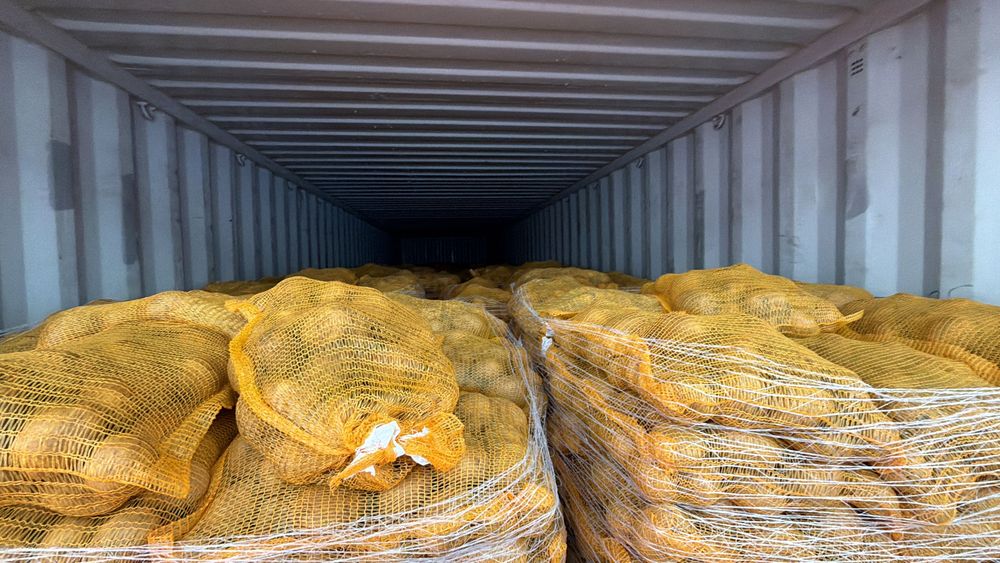 Cartofi EN-GROS calibru 70+ Belgia – Germania – Franța | Spălați 10 kg