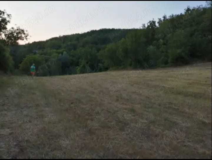 Vand casa si teren