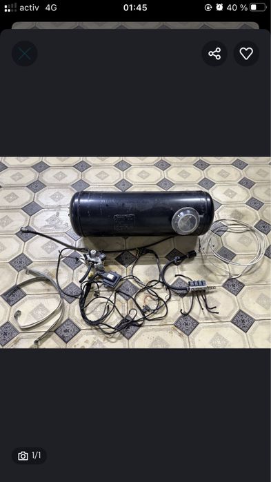 Стаг аргинал.