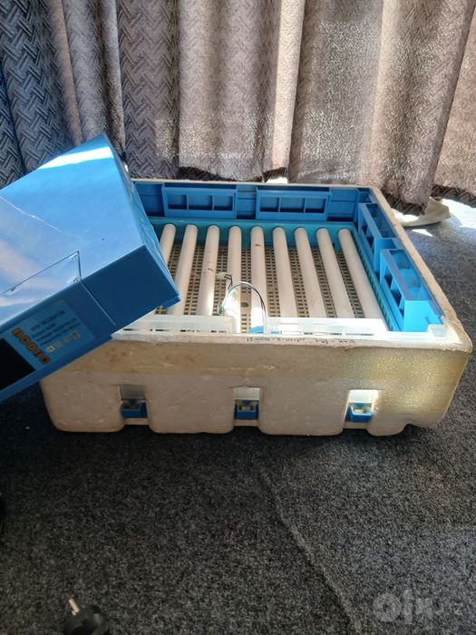 Inkubator sotiladi yaxshi ishlidi 64 tali