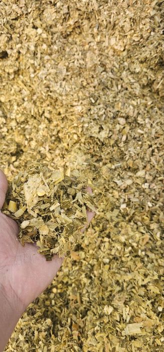 Silos sotiladi 18_20 kg