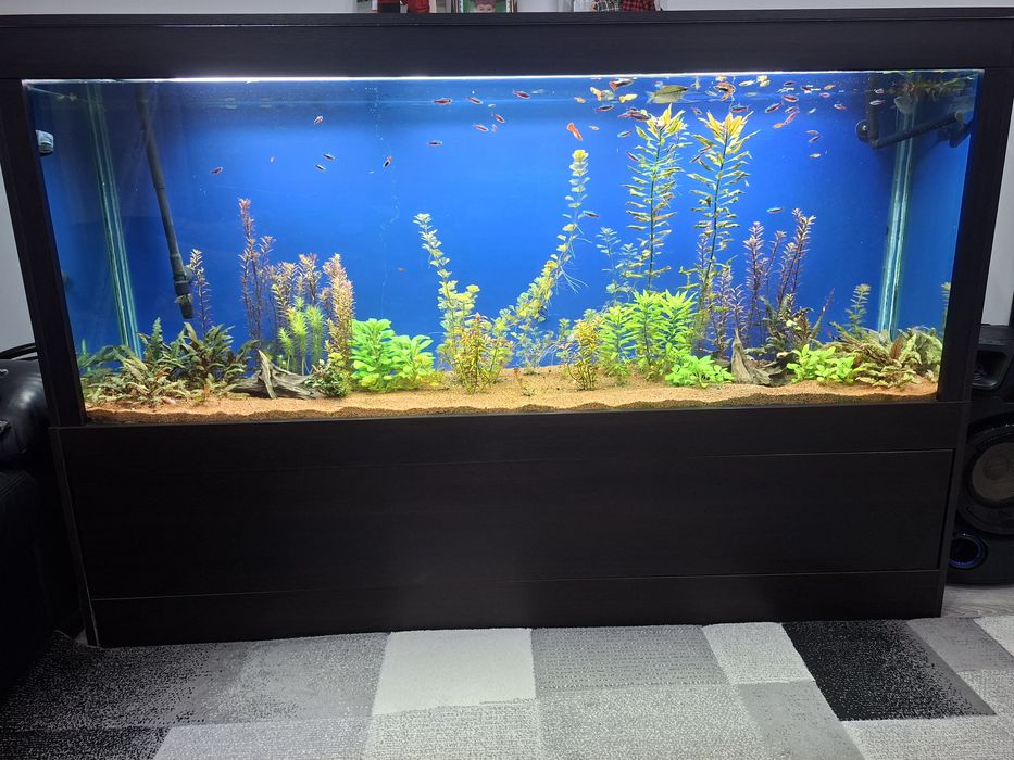 Аквариум.Напълно обурудван .