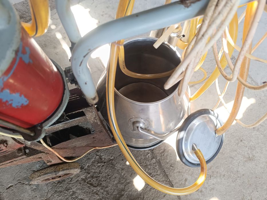 Доильный аппарат  для крс