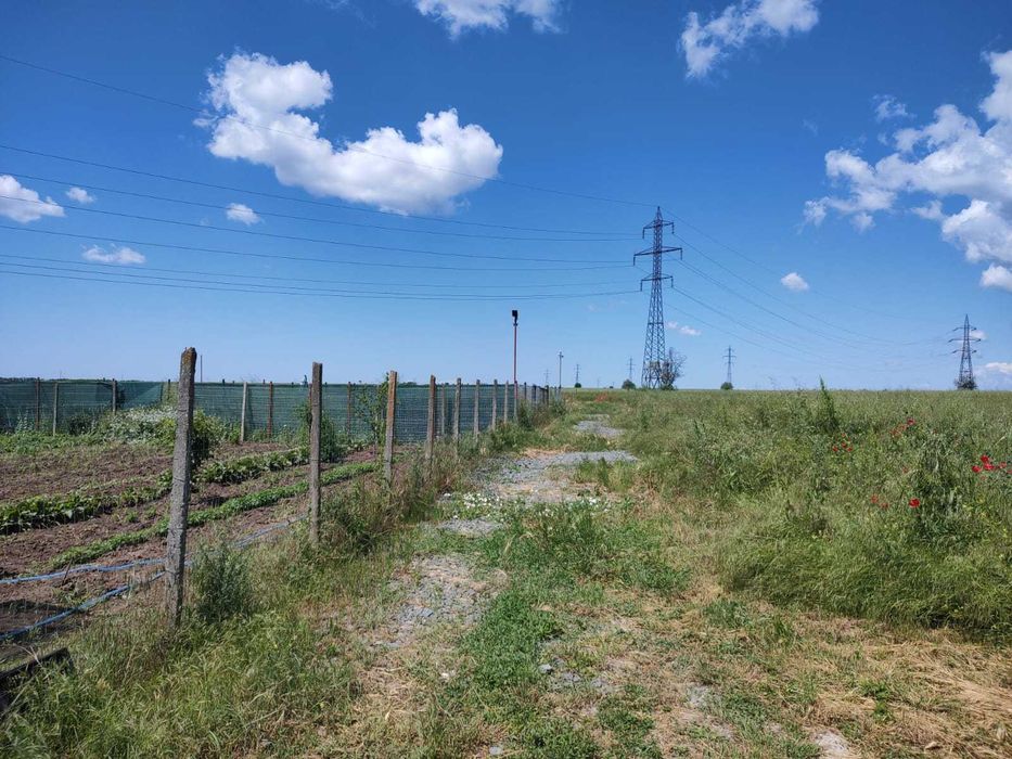 Teren extravilan 1000 mp Agigea (periferie Eforie Nord)