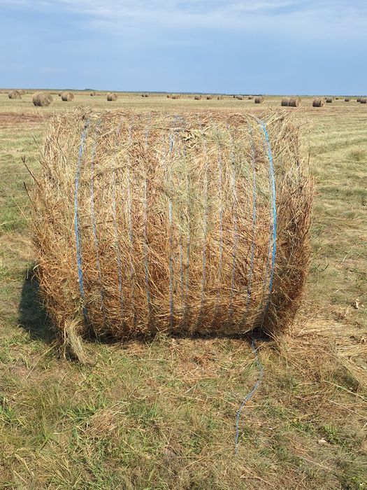 Baloti de fan 120x120