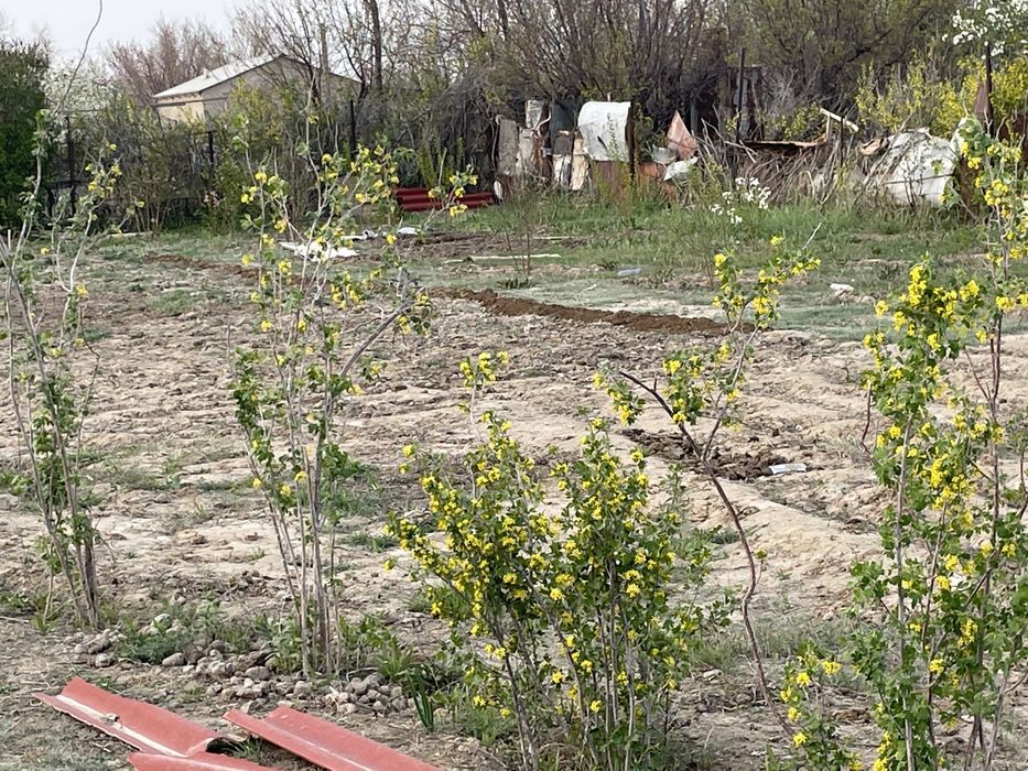 продам дачу в Бугорках