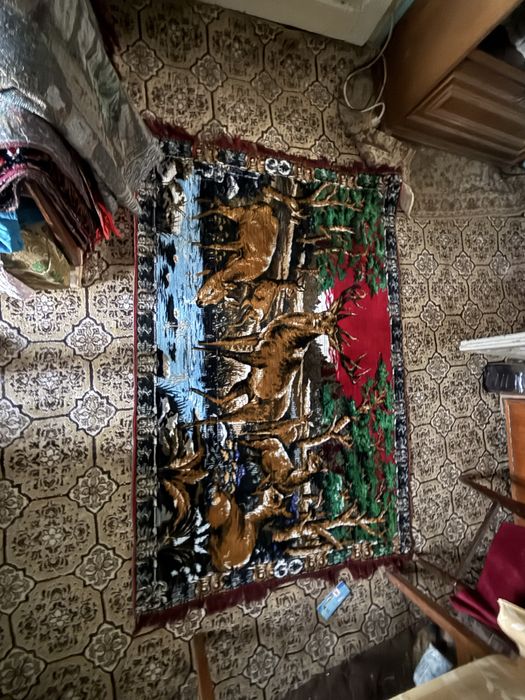 Vand covoare vechi! Mai multe detali in privat