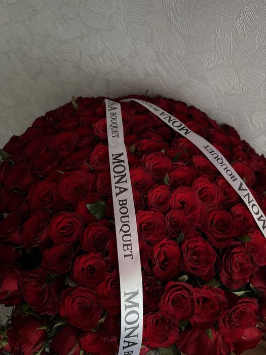 230 штук кызыл роза