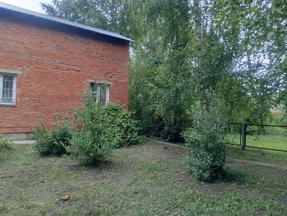 Дача с пасекой (за Тарханкой)